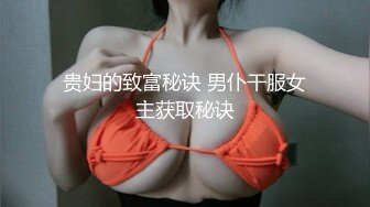 贵妇的致富秘诀 男仆干服女主获取秘诀