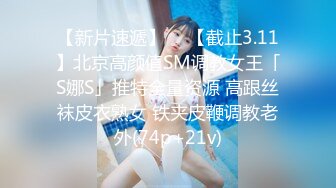 【新片速遞】  ✨【截止3.11】北京高颜值SM调教女王「S娜S」推特全量资源 高跟丝袜皮衣熟女 铁夹皮鞭调教老外(74p+21v)