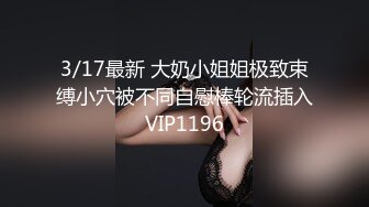 极品资源-欧美精品女优和系列射精片段23小时大合集【86V】 (4)