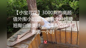 【小宝寻花】3000网约高颜值外围小姐姐，清新女神蜂腰翘臀白嫩美肤，温柔配合床上激情一小时