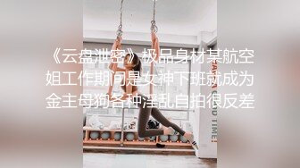 《云盘泄密》极品身材某航空姐工作期间是女神下班就成为金主母狗各种淫乱自拍很反差