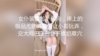 性感的丝袜少妇