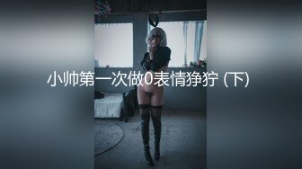 Al&mdash;渡邉理佐  强烈高潮