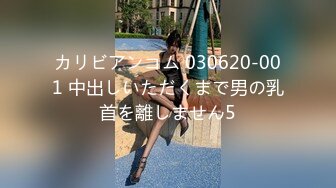 母と仆の妊活中出し性交―他人だと知った仆たちは梦中で种付けに溺れた― 安野由美