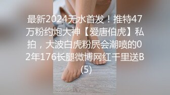 IDG5481 爱豆传媒 保镖约炮到欲火难耐的女总裁 白琴