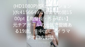 豪乳女神『Diary』淫乱实录 豪乳女友幻身狐尾女仆用蜜穴尽心伺候单男