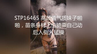 9/14最新 秀人巨乳女神王俪丁性爱淫梦真实操丽姐VIP1196