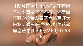 地震襲來，和巨乳傲嬌女主管受困在公司的我終於受不了啦 - 嵐芯語