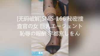 [无码破解]SNIS-166 秘密捜査官の女 巨乳エージェント恥辱の報酬 宇都宮しをん