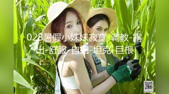 麻豆传媒&渡边传媒 DB011 搭讪黑丝小只马初次见面变炮友