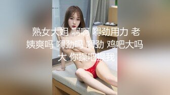 台湾JVID模特「elarine114」「白雪蘿綝」OF私拍 185cm极品身材36F吊钟乳小欲女【第一弹】(329p 96v)