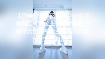 W 中的女主人。 威胁的套房房间客舱乘务员VDD-100