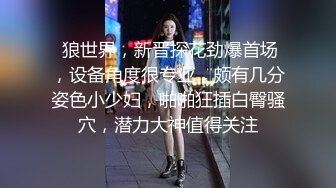 模特骚母狗第三弹