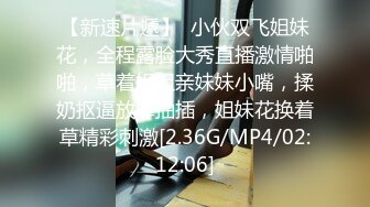 91大閘蟹最新豪華精品巨製第四部-番號S01E04：翻版“小Angelababy”和翻版“陳慧琳”絲襪雙飛完整版