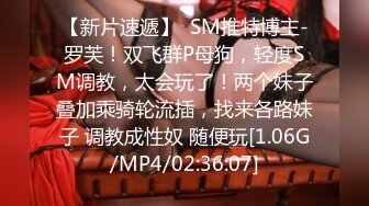 STP26718 酒窝气质新人御姐！约炮友激情操逼，太骚了抓这手揉奶子，站立后入大屁股，骑乘深插爆操 VIP0600