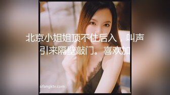 会有妻-你老婆其实是两百块钱的站街女特辑