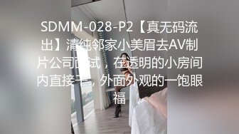 SDMM-028-P2【真无码流出】清纯邻家小美眉去AV制片公司面试，在透明的小房间内直接干，外面外观的一饱眼福