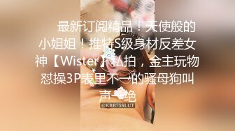 ❤️最新订阅精品！天使般的小姐姐！推特S级身材反差女神【Wister】私拍，金主玩物怼操3P表里不一的骚母狗叫声一绝