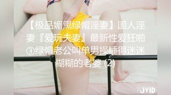 【新片速遞】  ❤️坐在奔驰车里发骚❤️，娘的，老子开车都不专心了：真空出门喽，出门逛街，湿了，出水了。荡货电梯里人多也不忘漏奶！