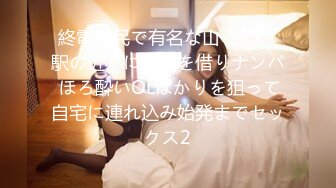 終電難民で有名な山○線大○駅の近くに部屋を借りナンパ ほろ酔いOLばかりを狙って自宅に連れ込み始発までセックス2