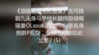 《顶级震撼淫乱盛宴》无可挑剔九头身马甲线长腿终极绿帽骚妻OLsou私拍二，与多名单男群P乱交，女神的形象如此反差2 (5)